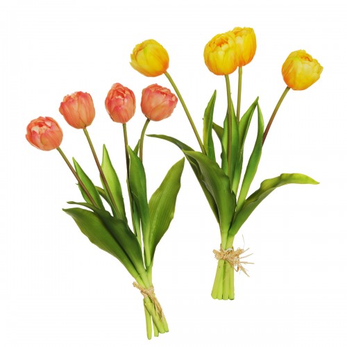 Bundle 4 Tulips